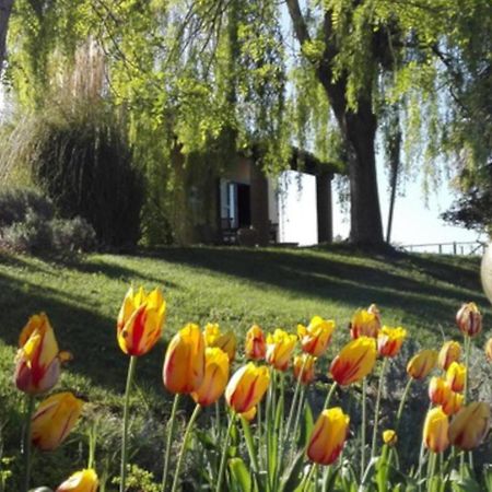 Villa Agriturismo Quartopodere Magliano in Toscana Exterior foto