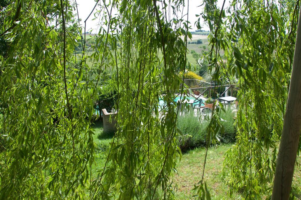 Villa Agriturismo Quartopodere Magliano in Toscana Exterior foto